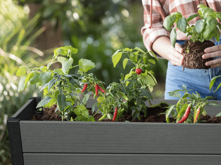 Darwin Raised Garden Bed - Image 3