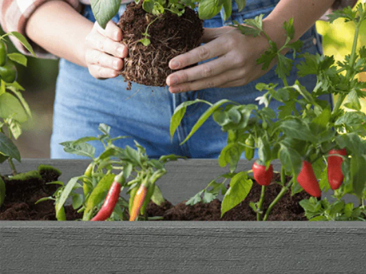 Darwin Raised Garden Bed - Image 4