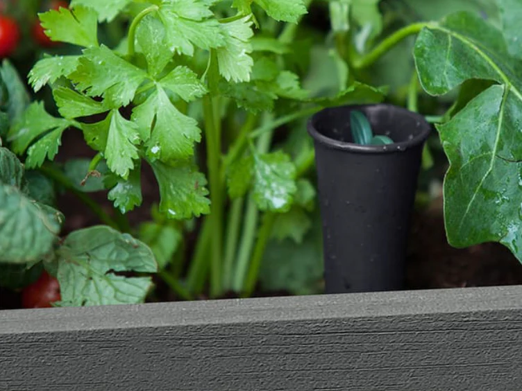 Darwin Raised Garden Bed - Image 5