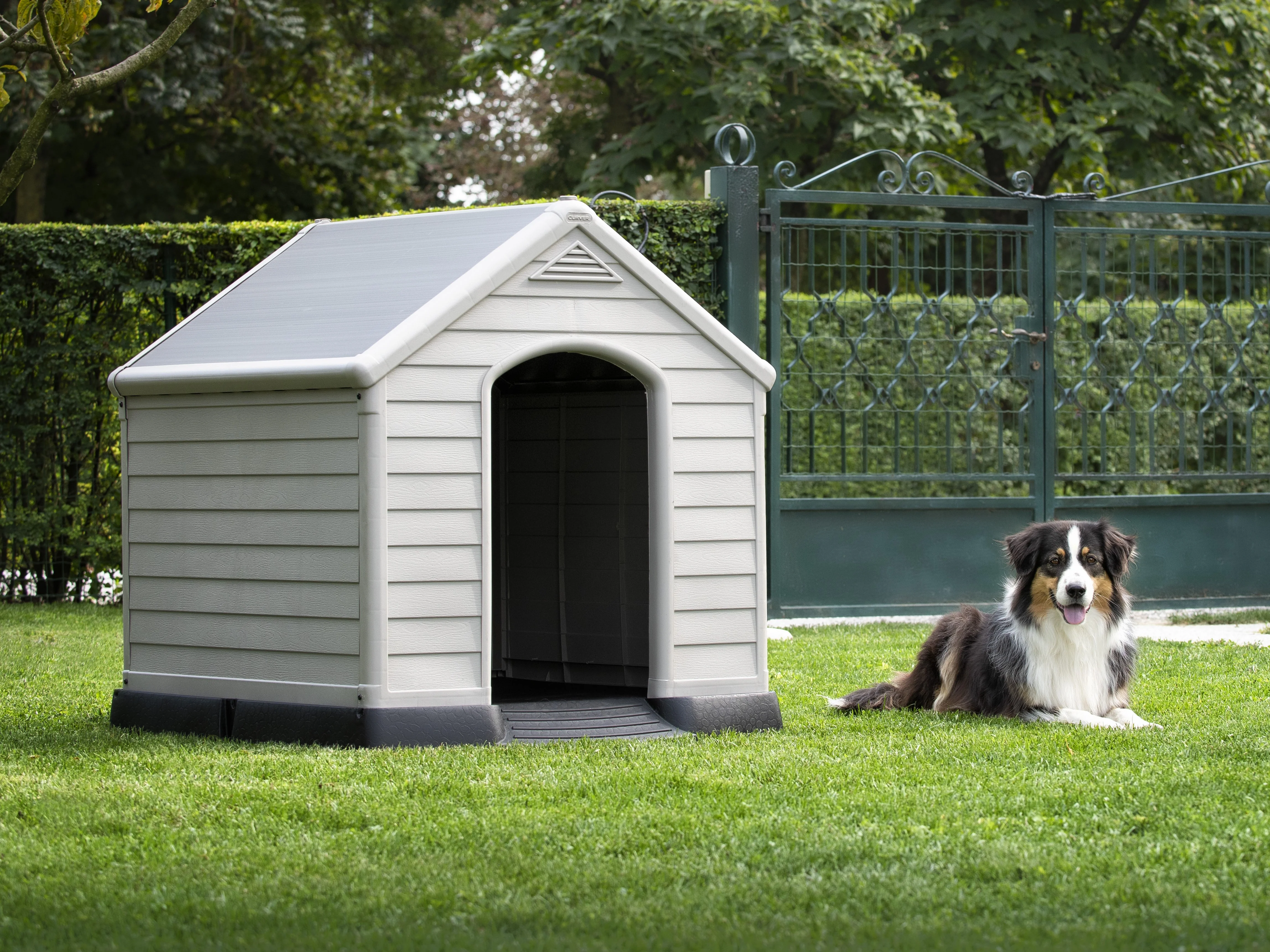 Dog House - Image 3