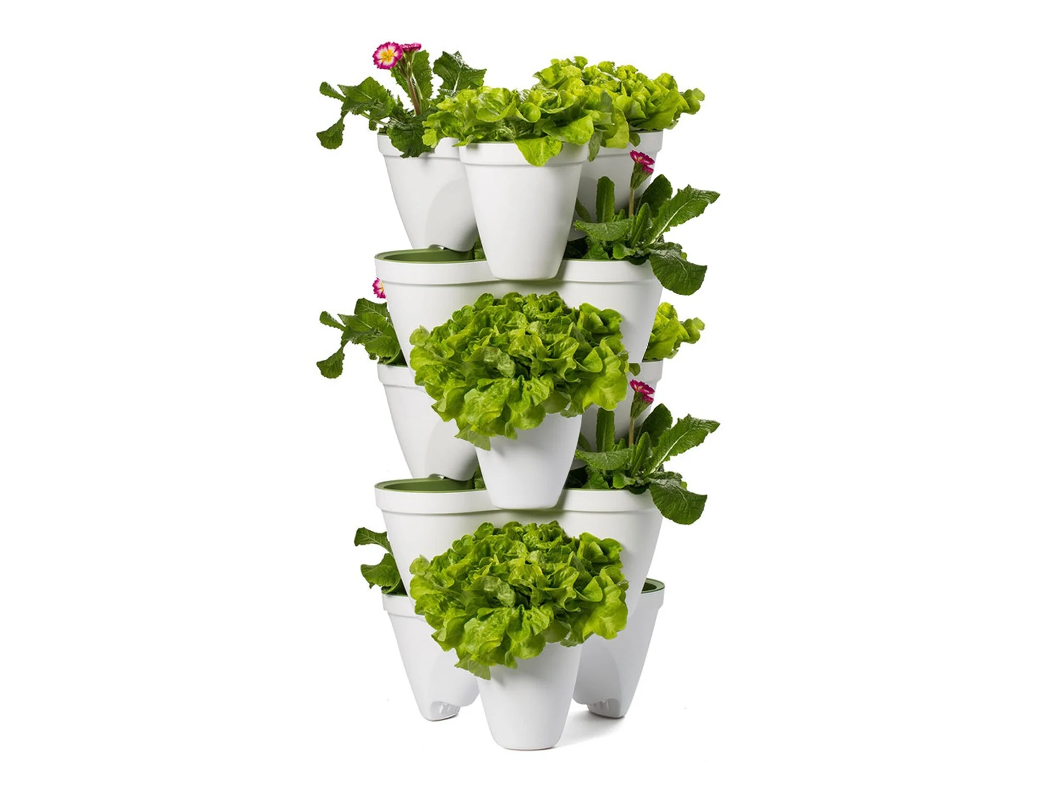 Ivy Planters - Green/White (each) - Image 6