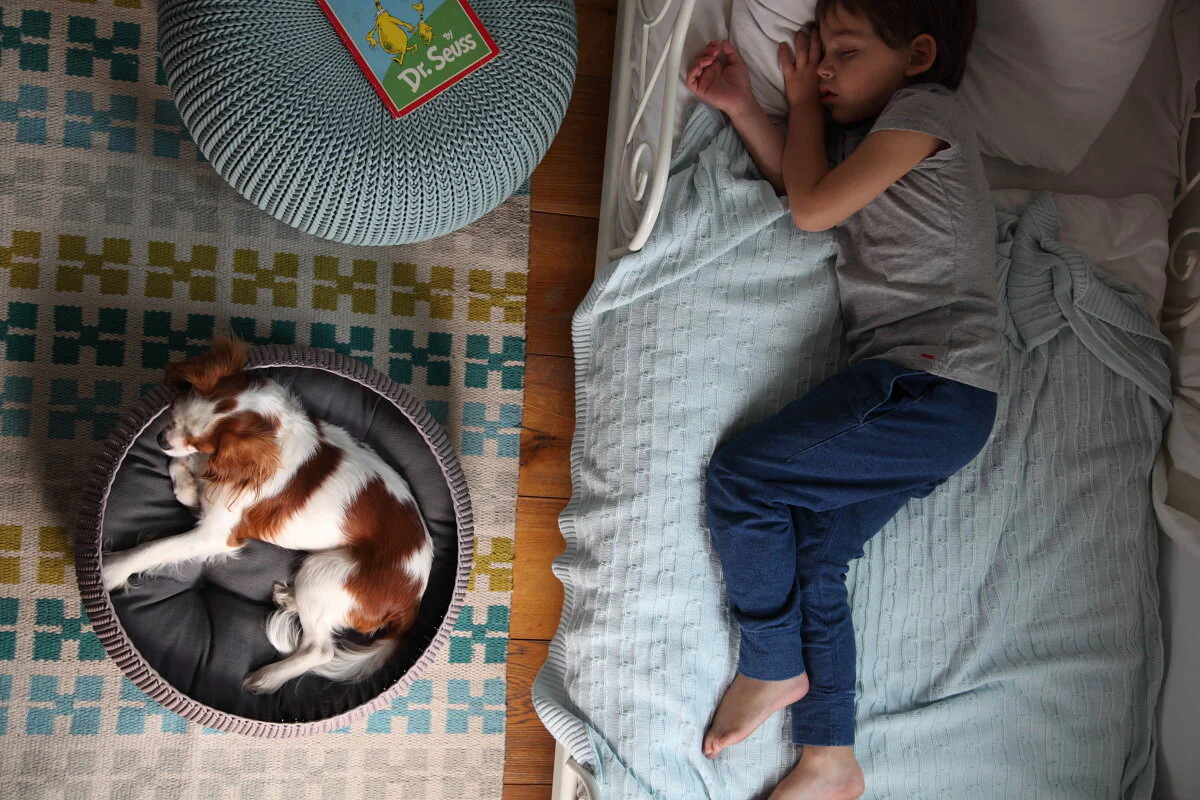Knit Cozy Pet Bed - Image 3