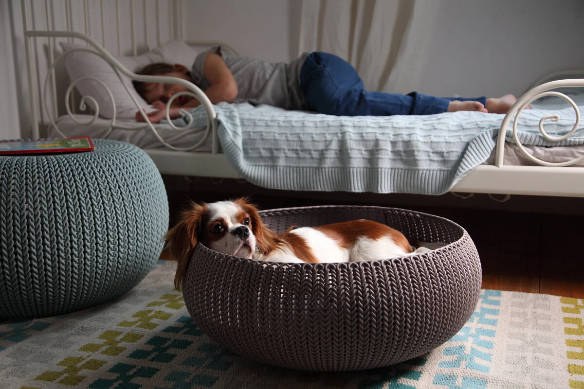 Knit Cozy Pet Bed - Image 4
