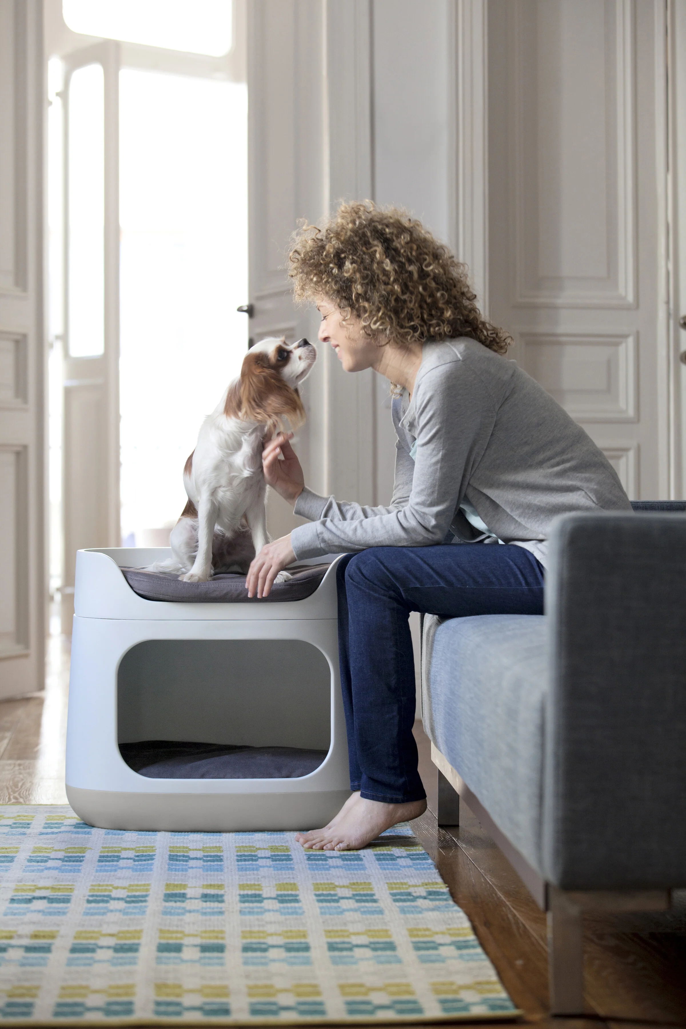 Pet Bunk Bed - Sandy Beige - Image 3