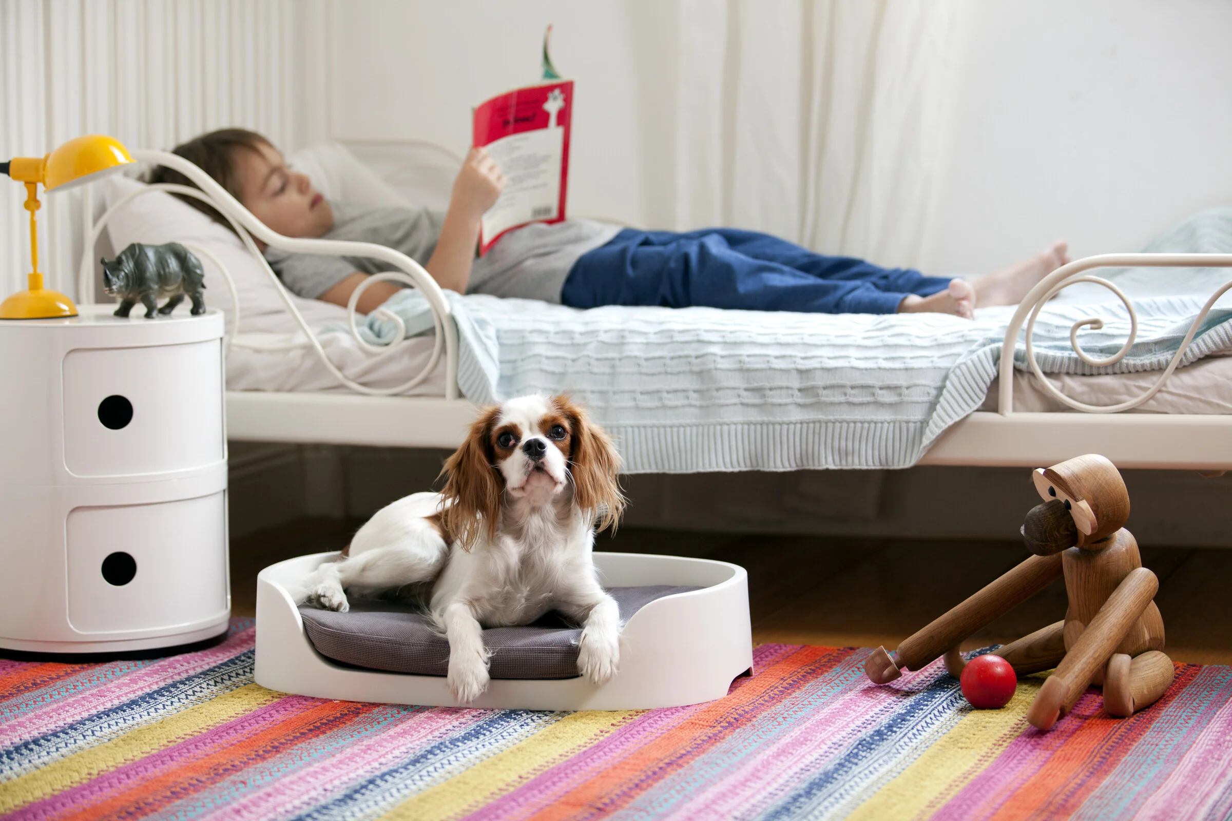 Pet Bunk Bed - Sandy Beige - Image 4