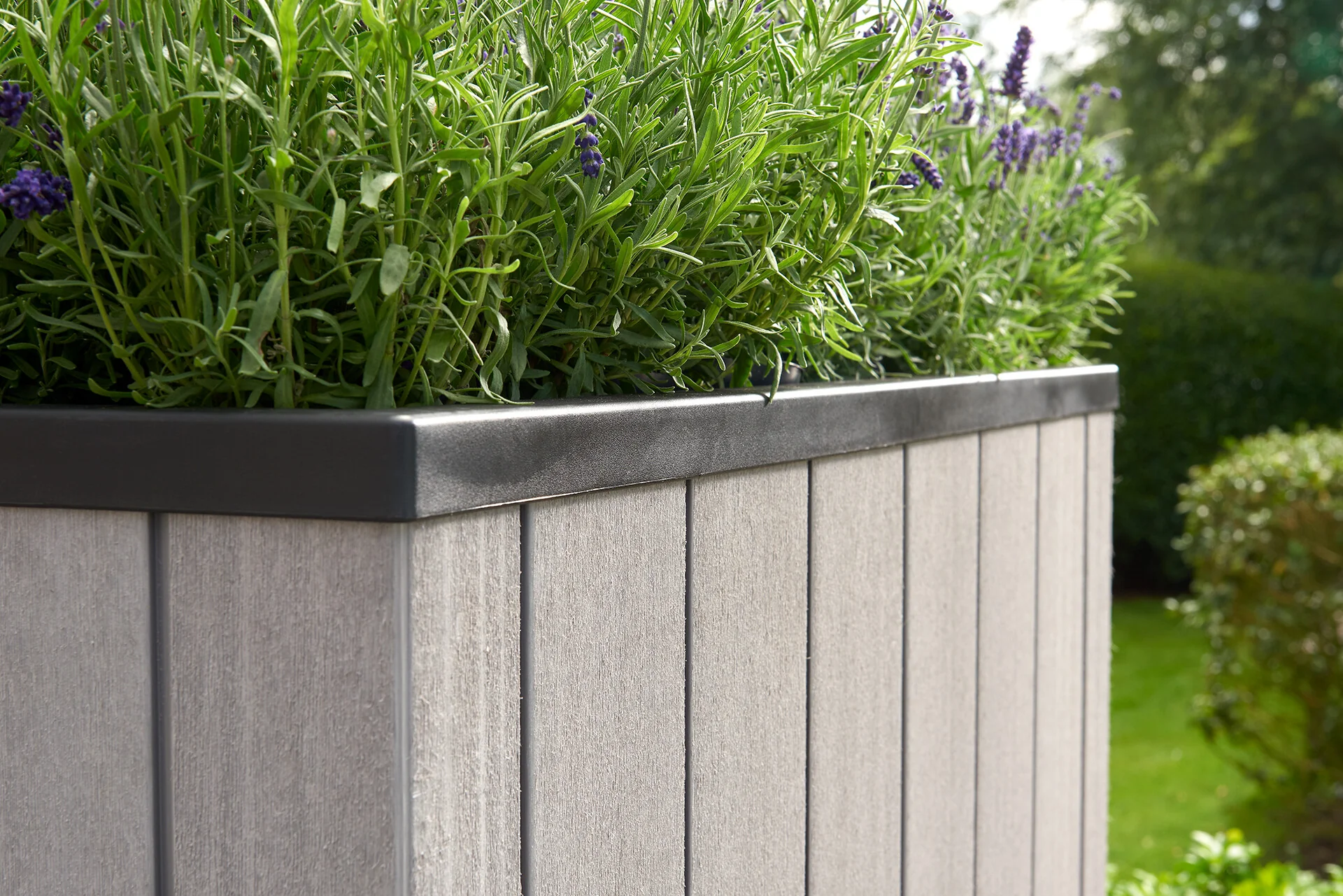 Sequoia Planter - Medium - Image 3