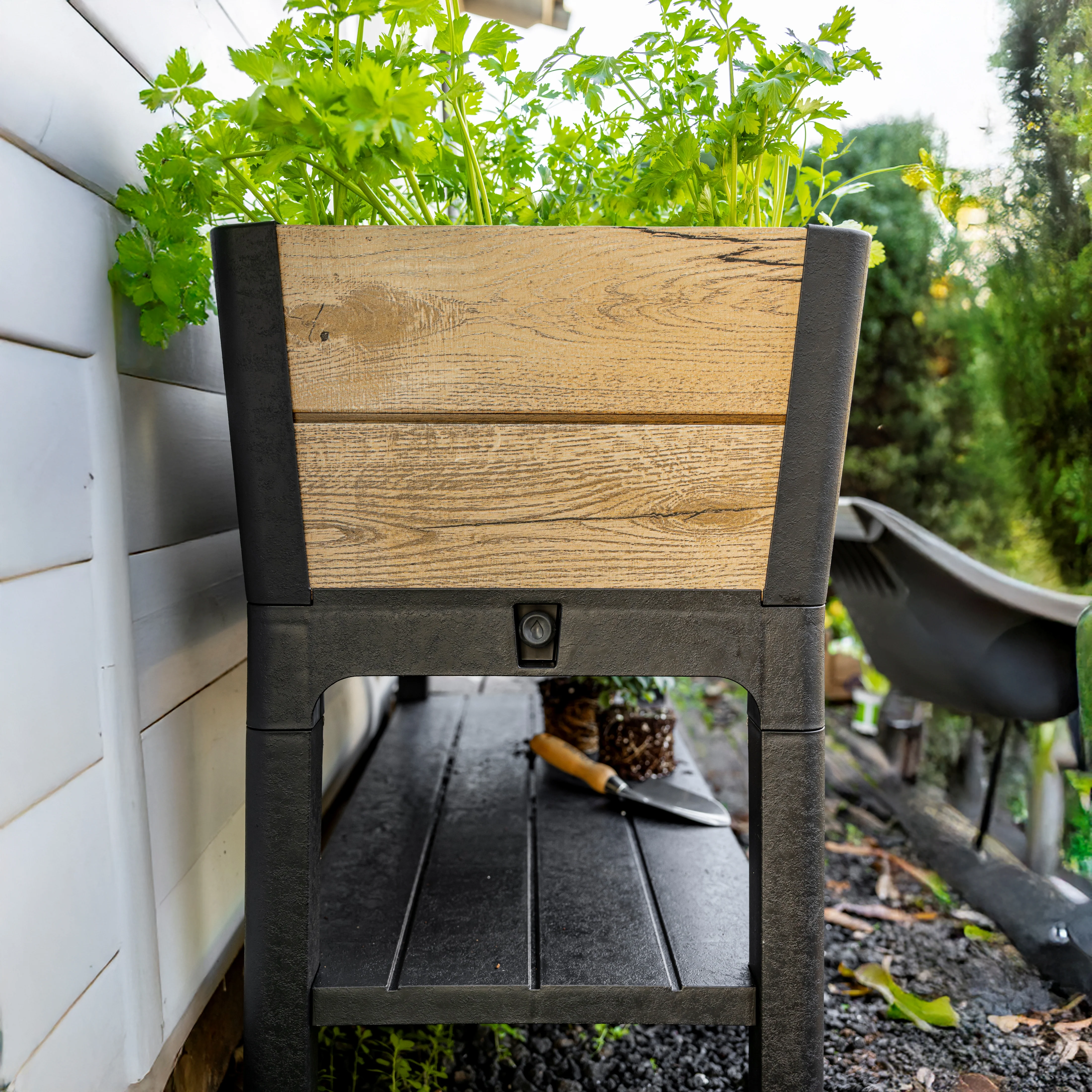 Signature Elevated Garden Bed - Pine - Image 4