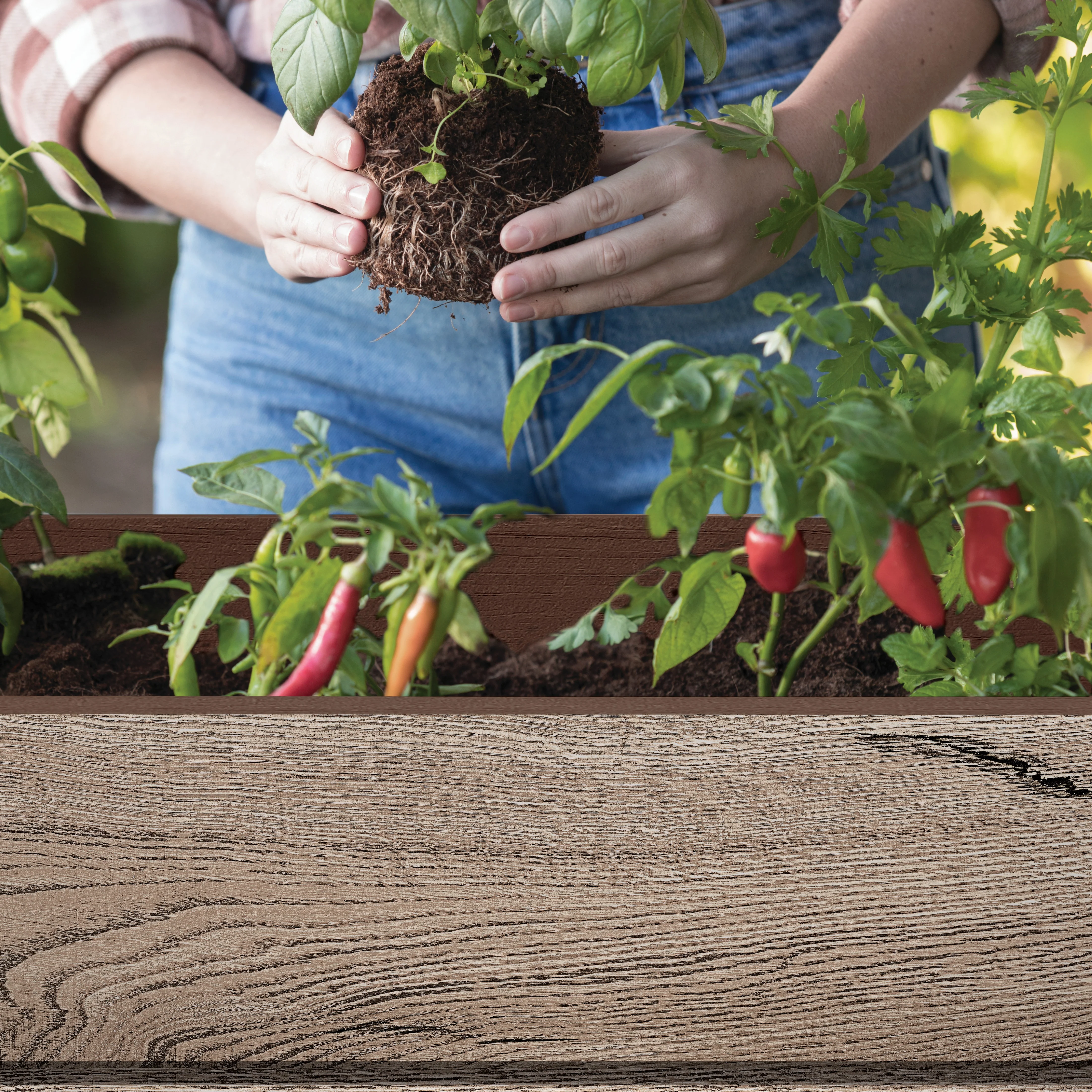 Signature Elevated Garden Bed - Pine - Image 5