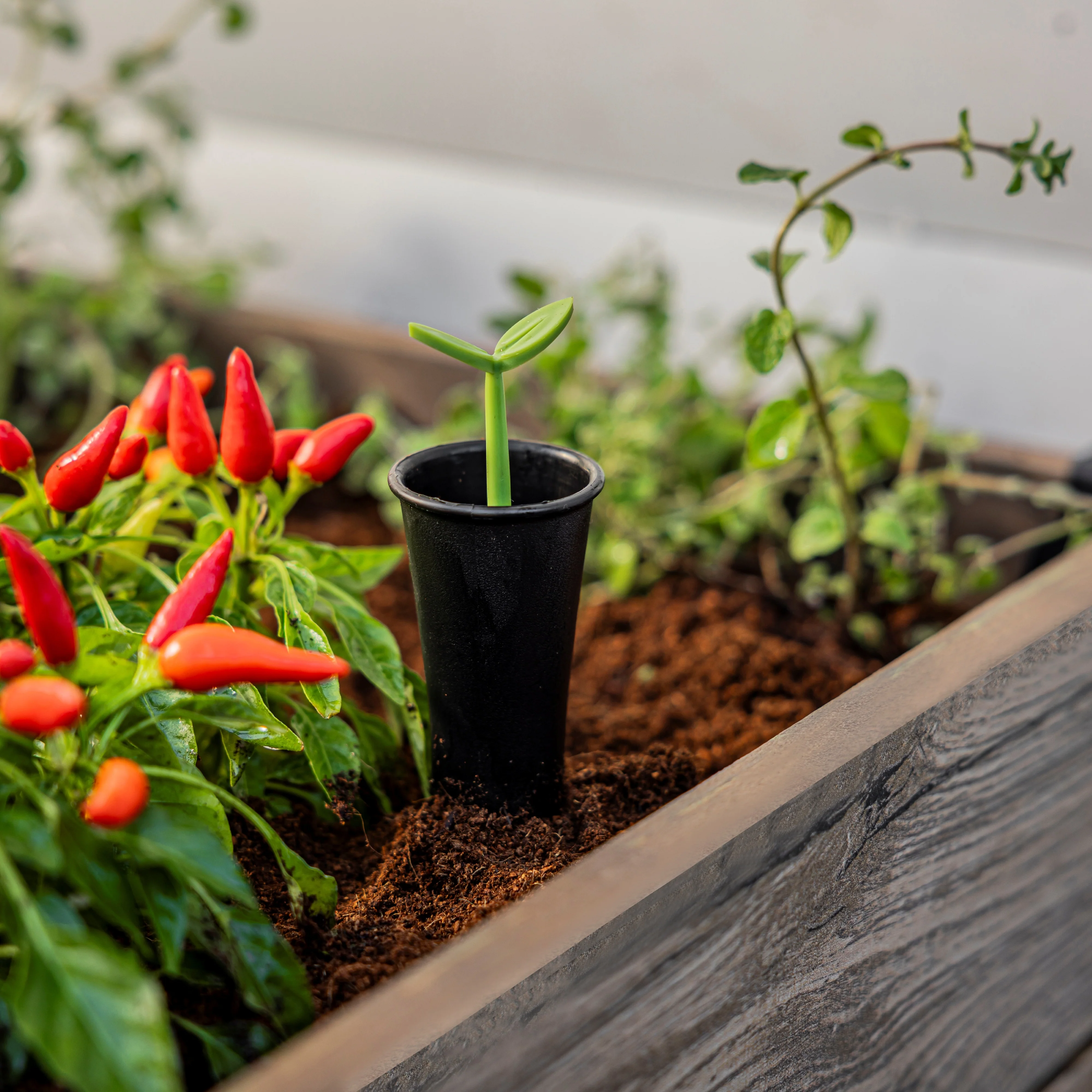 Signature Elevated Garden Bed - Pine - Image 6