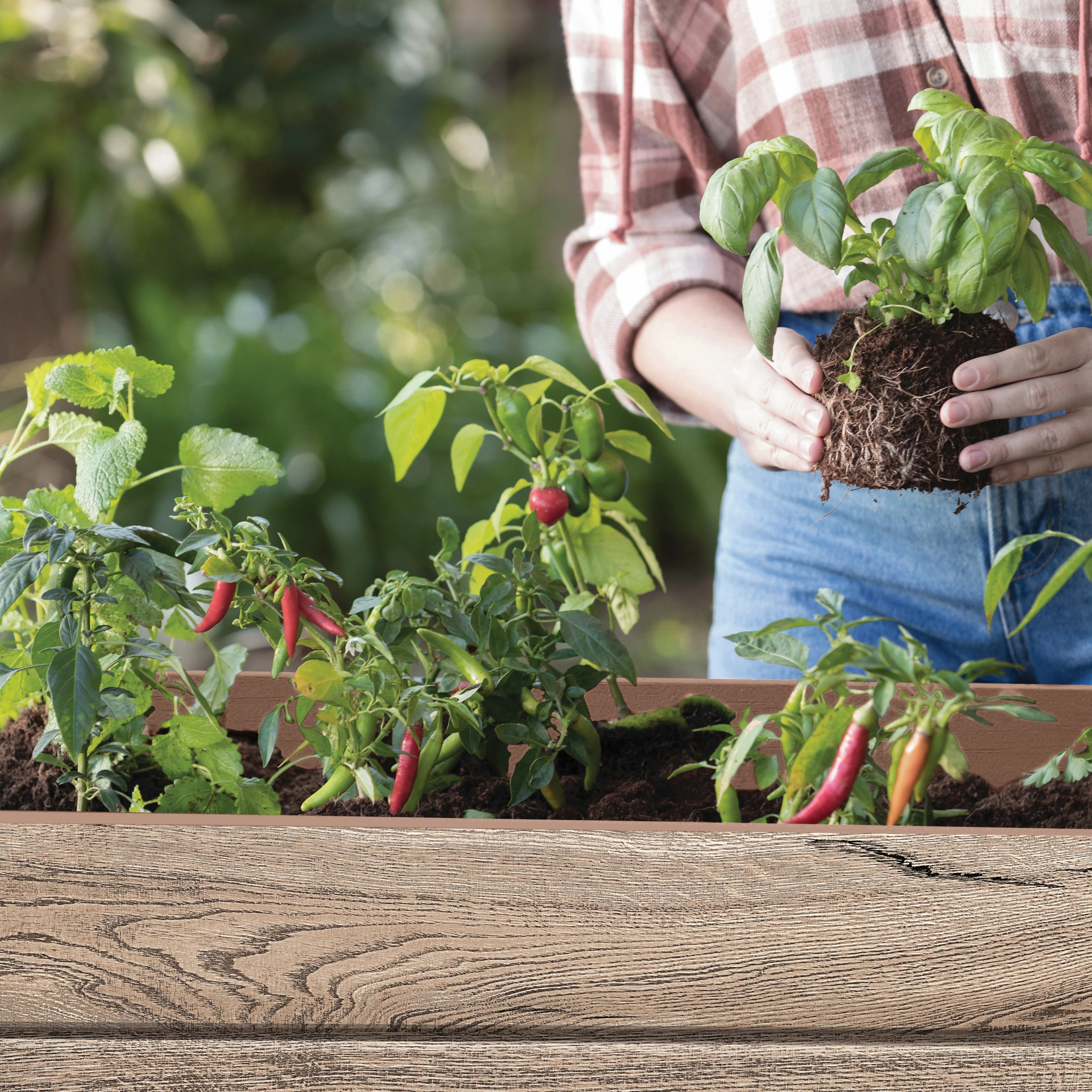 Signature Elevated Garden Bed - Pine - Image 7