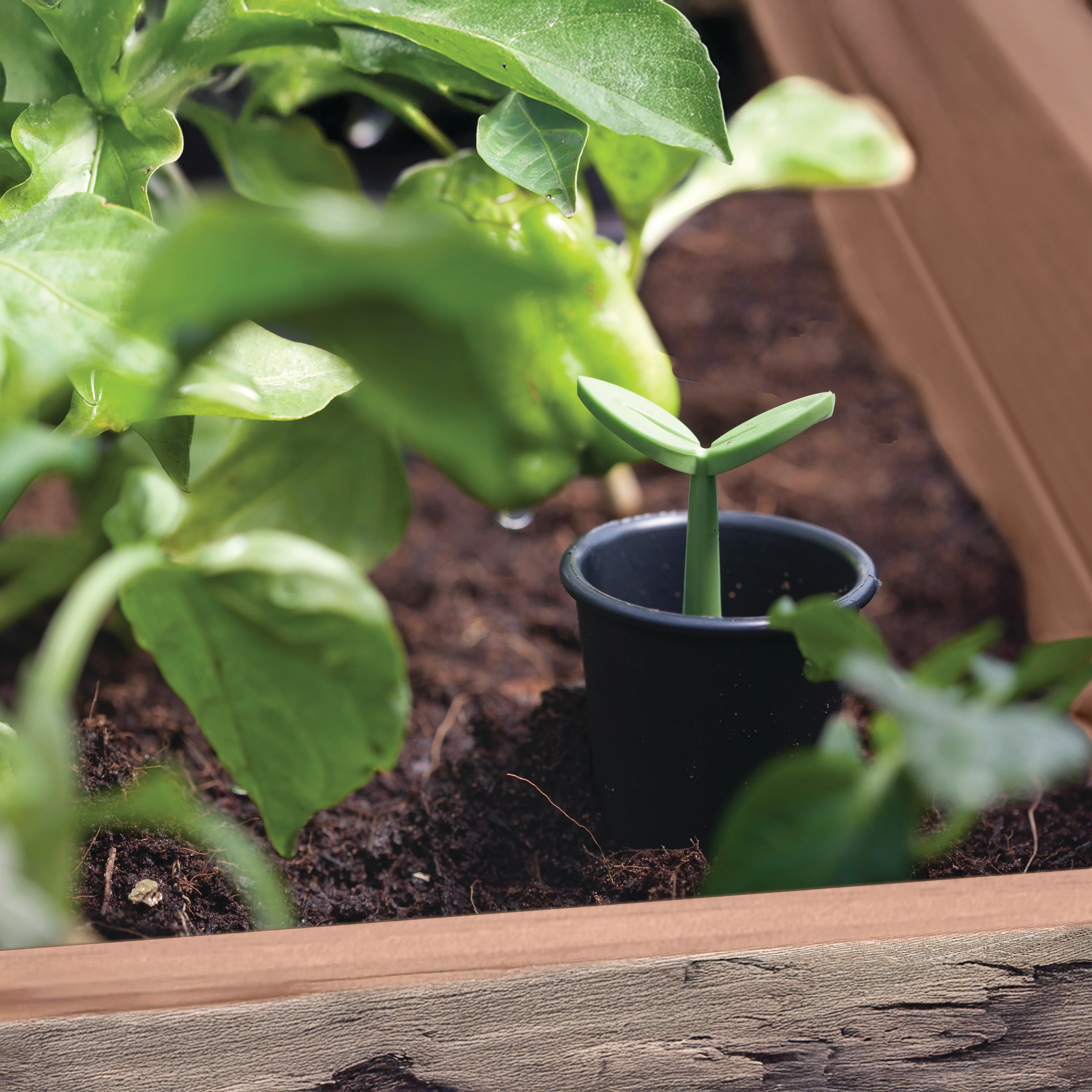 Signature Elevated Garden Bed - Pine - Image 8