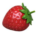 Strawberry - Large
